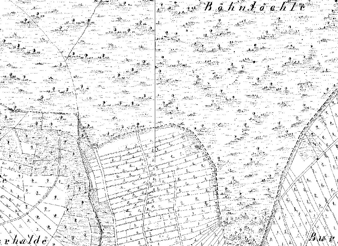 1832: Am Waldrand im Böhnlöchle liegt ein Block aus schmalen Weinbergstücken, links die Klinge des Krebsbachs, oben der Wald.