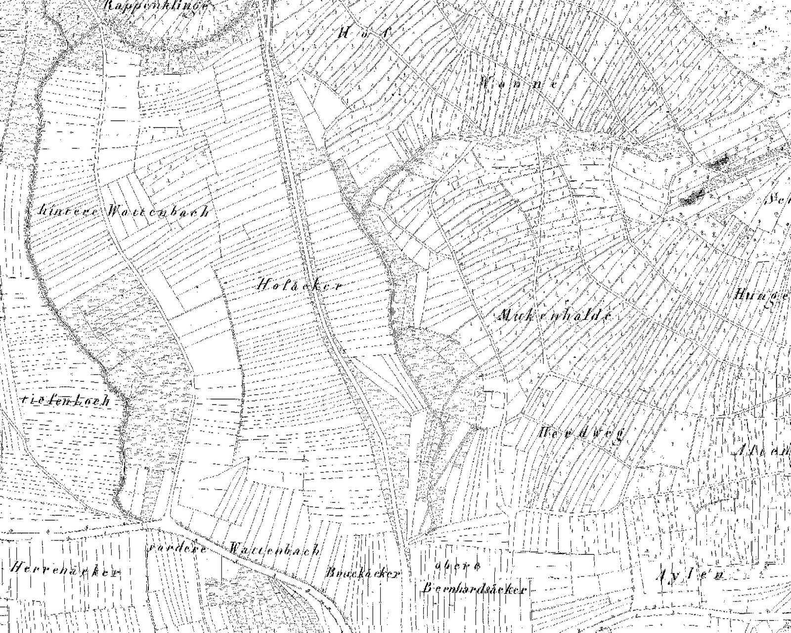 Württembergische Flurkarte von 1832 zwischen Ortsrand und Hof am Hungerberg: die Straße als Doppellinie durch die Hofäcker nach Norden