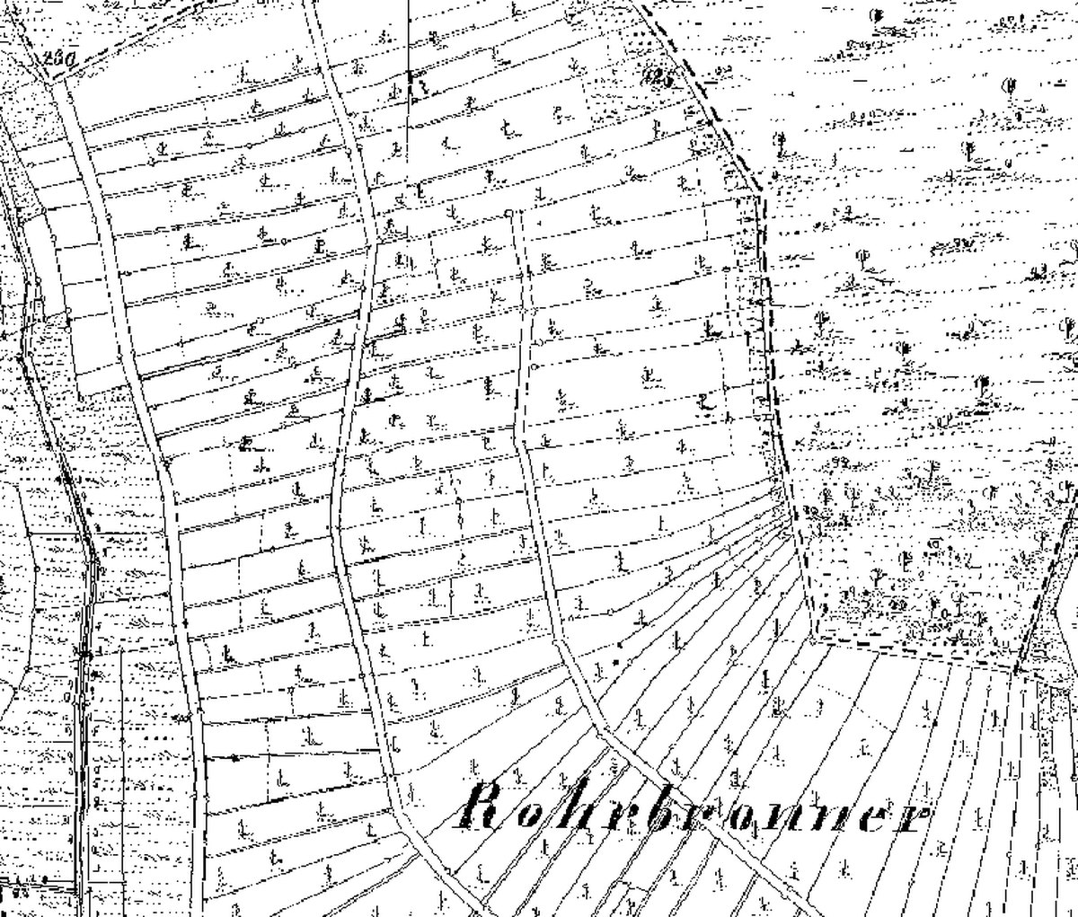 Flurkarte von 1832 am Waldrand im Rohrbronner: schmale Weinbergstücke mit Rebzeichen
